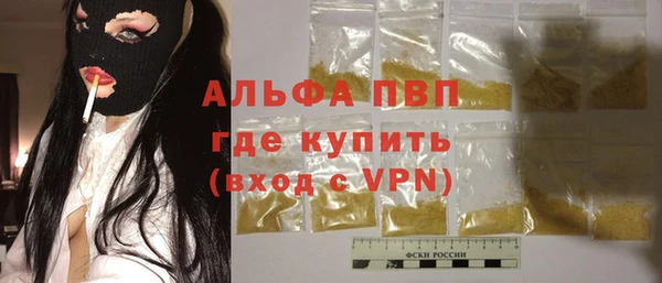 a pvp Пересвет
