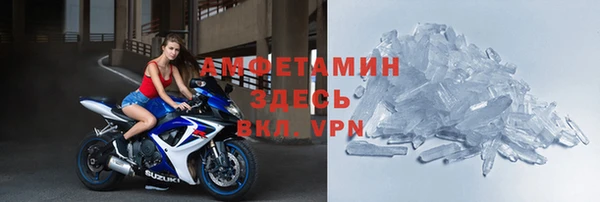 индика Пестово