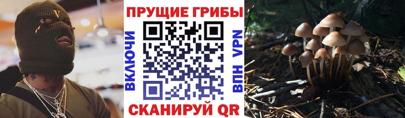 Галлюциногенные грибы ЛСД  Тобольск 